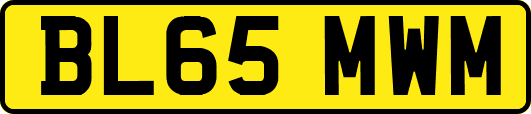 BL65MWM