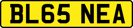 BL65NEA