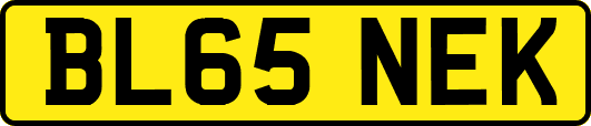 BL65NEK