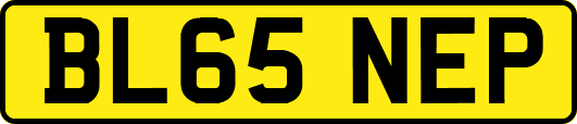BL65NEP