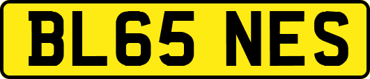 BL65NES