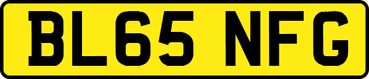 BL65NFG