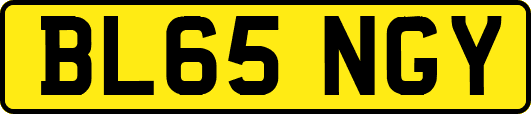 BL65NGY