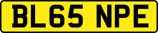BL65NPE