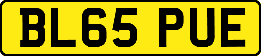 BL65PUE