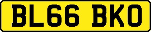 BL66BKO