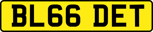 BL66DET