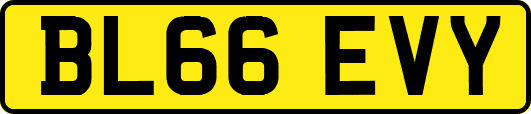 BL66EVY