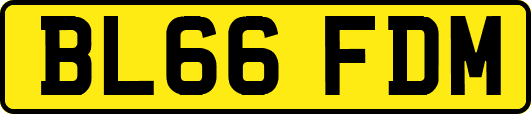 BL66FDM