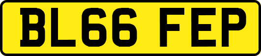 BL66FEP