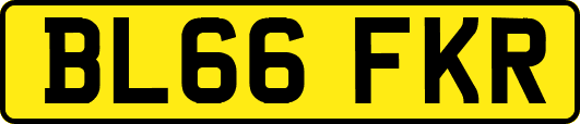 BL66FKR