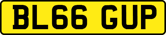 BL66GUP