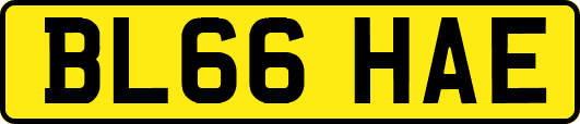 BL66HAE