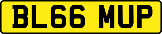 BL66MUP