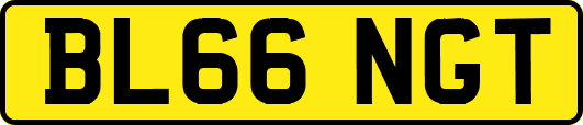 BL66NGT