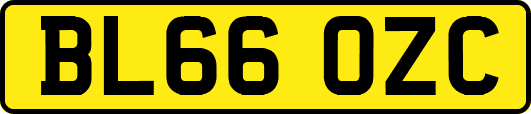 BL66OZC
