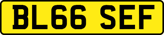 BL66SEF