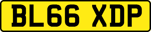 BL66XDP