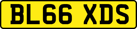 BL66XDS