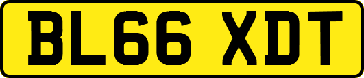BL66XDT
