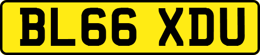 BL66XDU