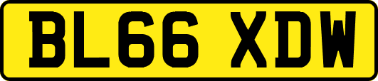 BL66XDW