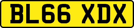 BL66XDX