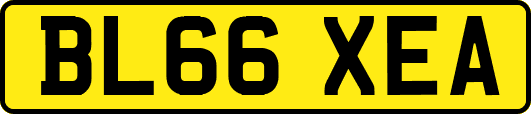 BL66XEA