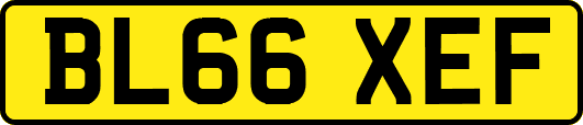 BL66XEF