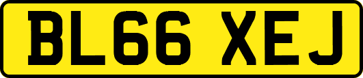 BL66XEJ