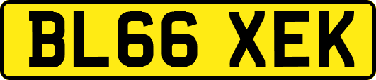 BL66XEK