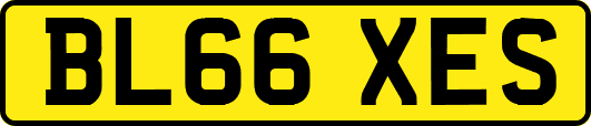 BL66XES