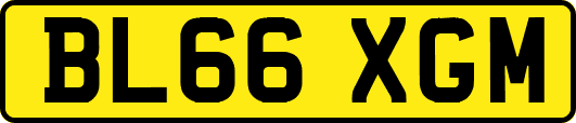 BL66XGM