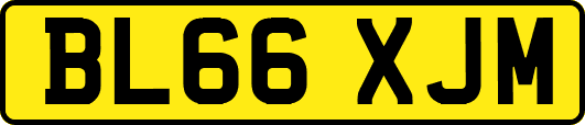 BL66XJM