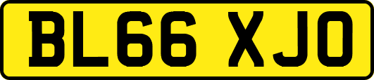 BL66XJO