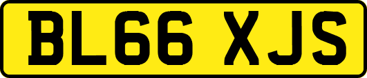 BL66XJS