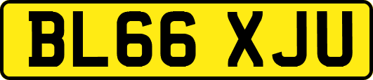 BL66XJU