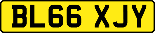 BL66XJY