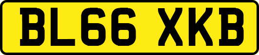 BL66XKB