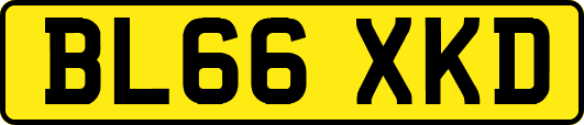 BL66XKD