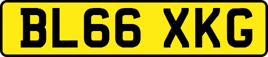 BL66XKG