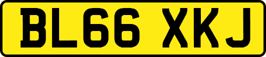BL66XKJ