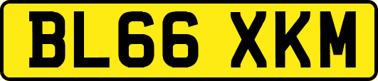 BL66XKM