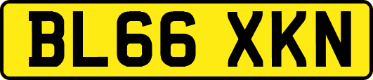 BL66XKN