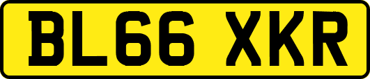 BL66XKR