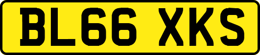 BL66XKS