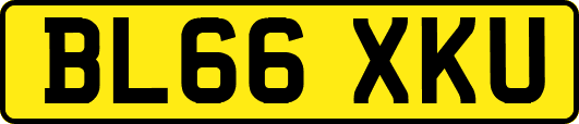 BL66XKU