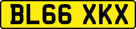 BL66XKX