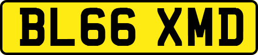 BL66XMD