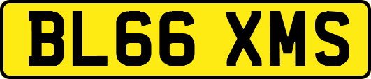 BL66XMS